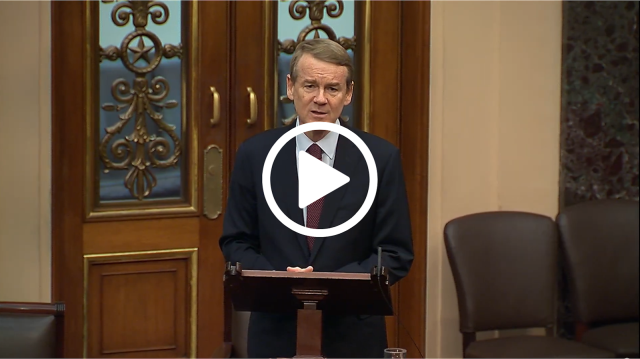 20251112_newsletter_graphic.png Image