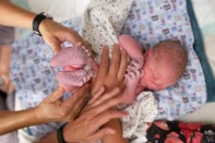 Midwife_2.jpg Image