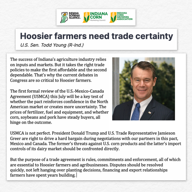 corn_for_enews.png Image